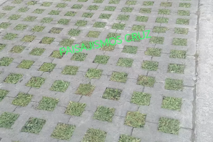 paisajismo-cruz-jardineria-lima-peru-16