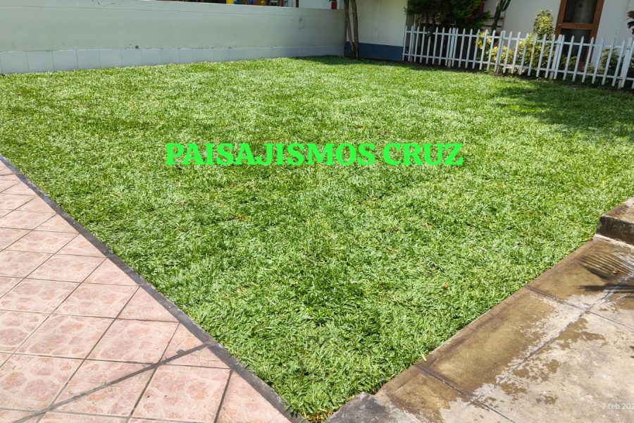 paisajismo-cruz-jardineria-lima-peru-3