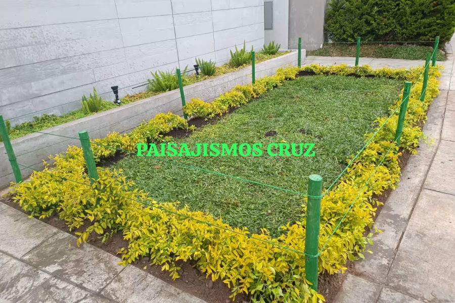 paisajismo-cruz-jardineria-lima-peru-4